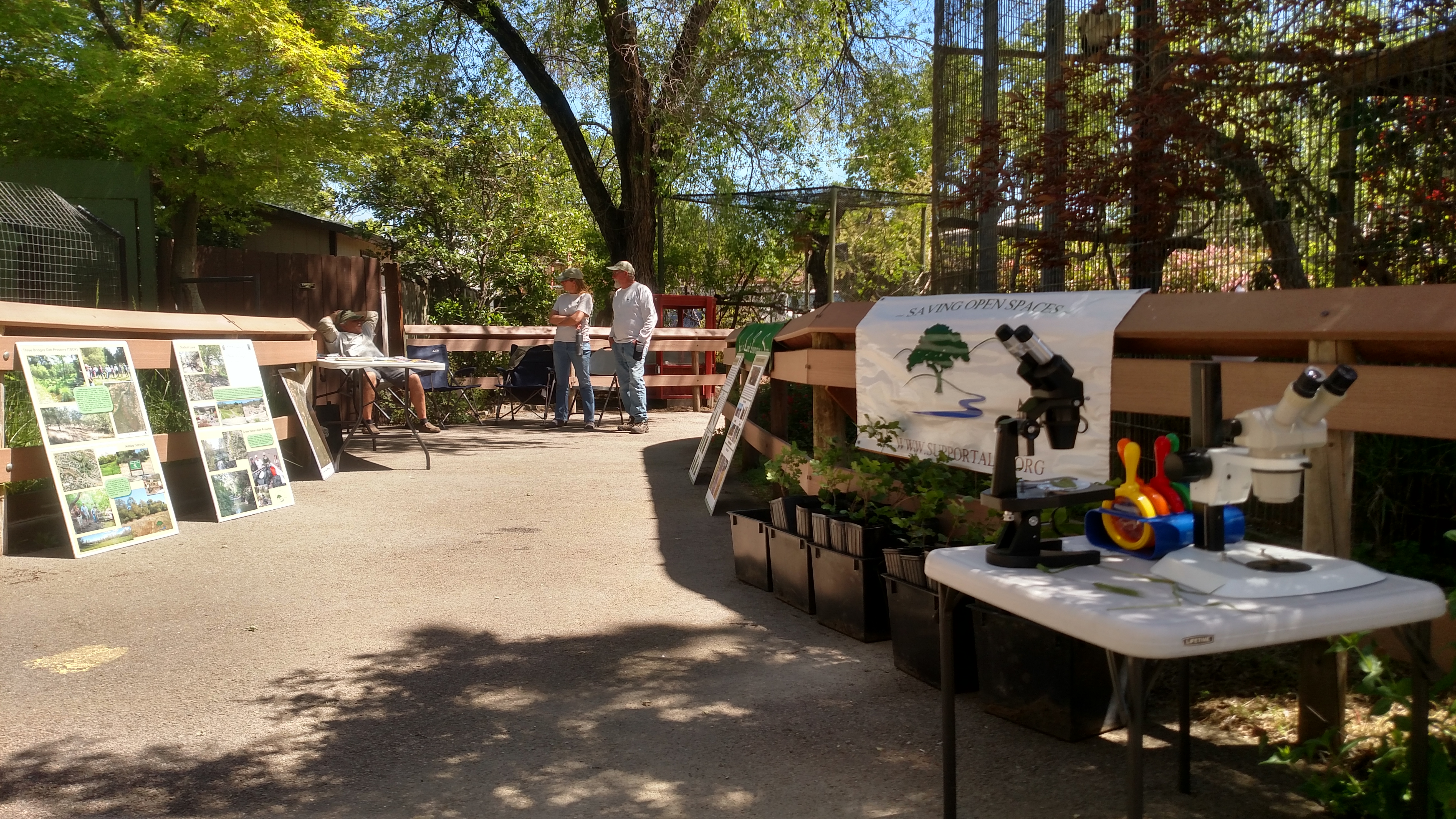 The ALPS displays, microscope table and free oak seedlings. 